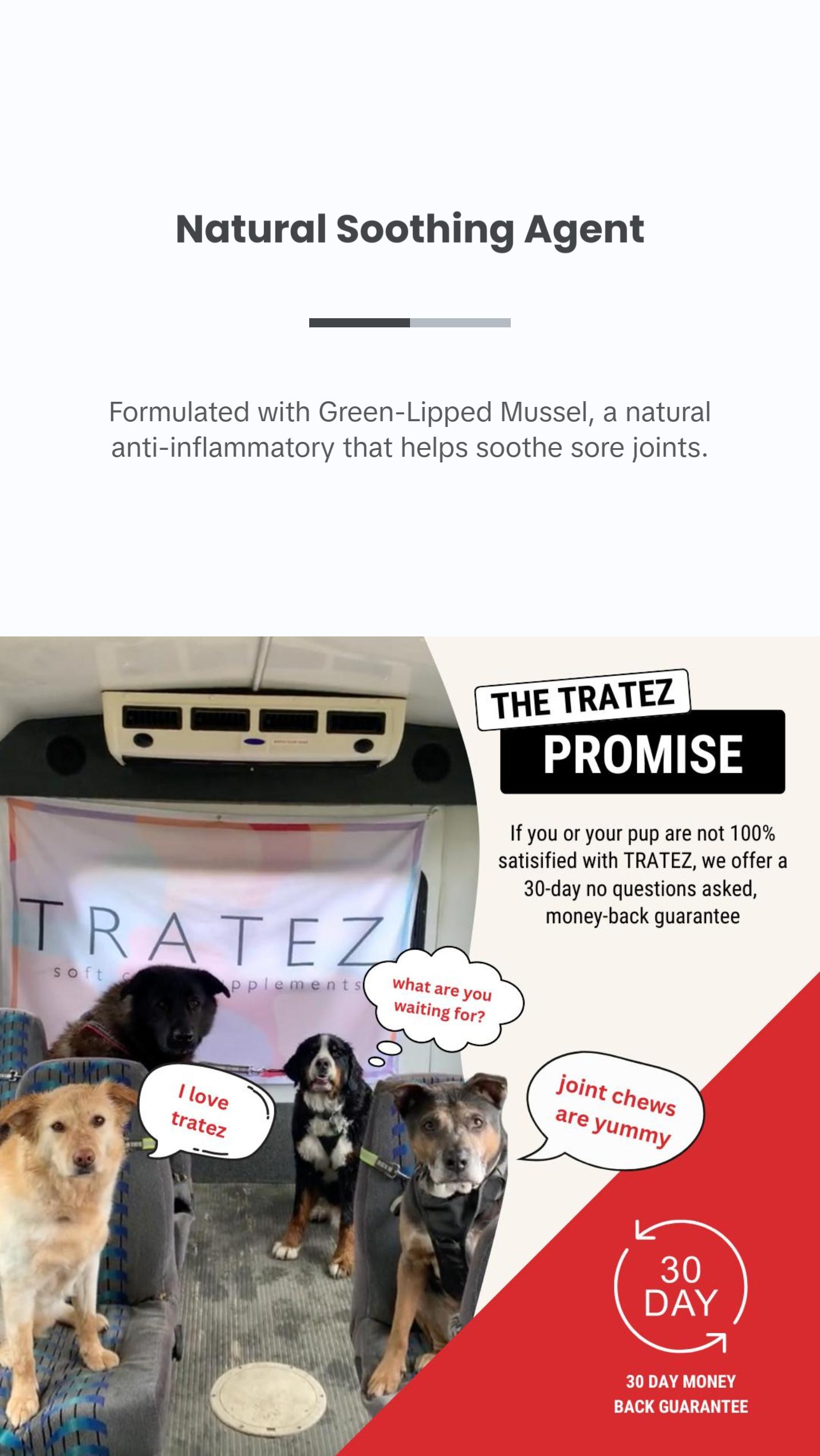 TRATEZ Hip & Joint Supplement for Dogs - 60 Duck-Flavored Soft Chews with Glucosamine, Chondroitin, MSM, Green-Lipped Mussel