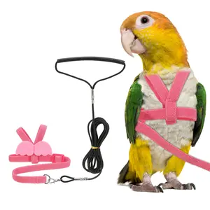 PETAXCELL Bird Harness Leash, Adjustable Pet Parrot Bird Harness and Leash Lightweight Anti-Bite Flight Training Rope with Cute Wing, (Pink, M), Intended for Parrots/Pigeons/Budgies