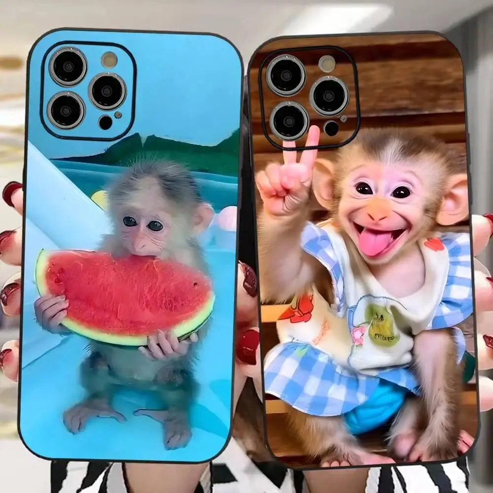 Abstract Monkey Fun Phone Case — Compatible with iPhone 11–17 Pro Max/Plus Series and Samsung Galaxy S23– Series; Skin-Friendly Soft TPU Case