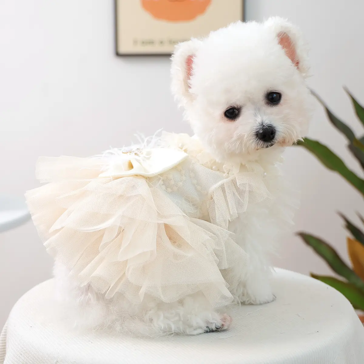 dog wedding dress Petite Pearl Dream Dog Wedding Dress – Sparkle & Chic Petite Pup Boutique main image 1