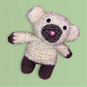 Kids Teddy Bear