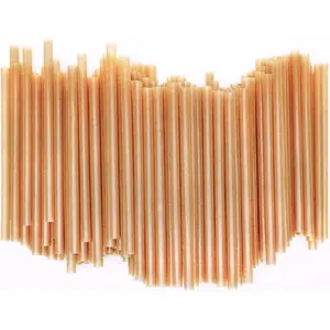 6-Inch Short Biodegradable Cocktail Straws, 200 pcs, Compostable, Made from 100% Sugarcane Fiber, Sturdy Drinking Straws for Hot and Cold Drinks, Non - Foggy