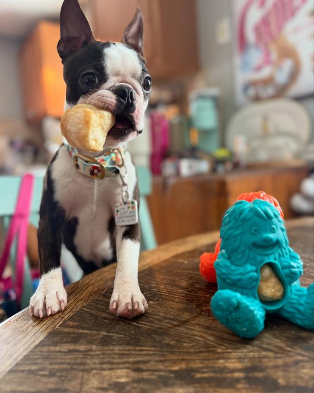 Yeti Dog Chew Yeti Refill Nuggets for Puff and Play Dog Toys Natural Yak Cheese Treats High Protein Low Carb Interactive Chew Toys Himalayan Cow Milk Cheese Refillable