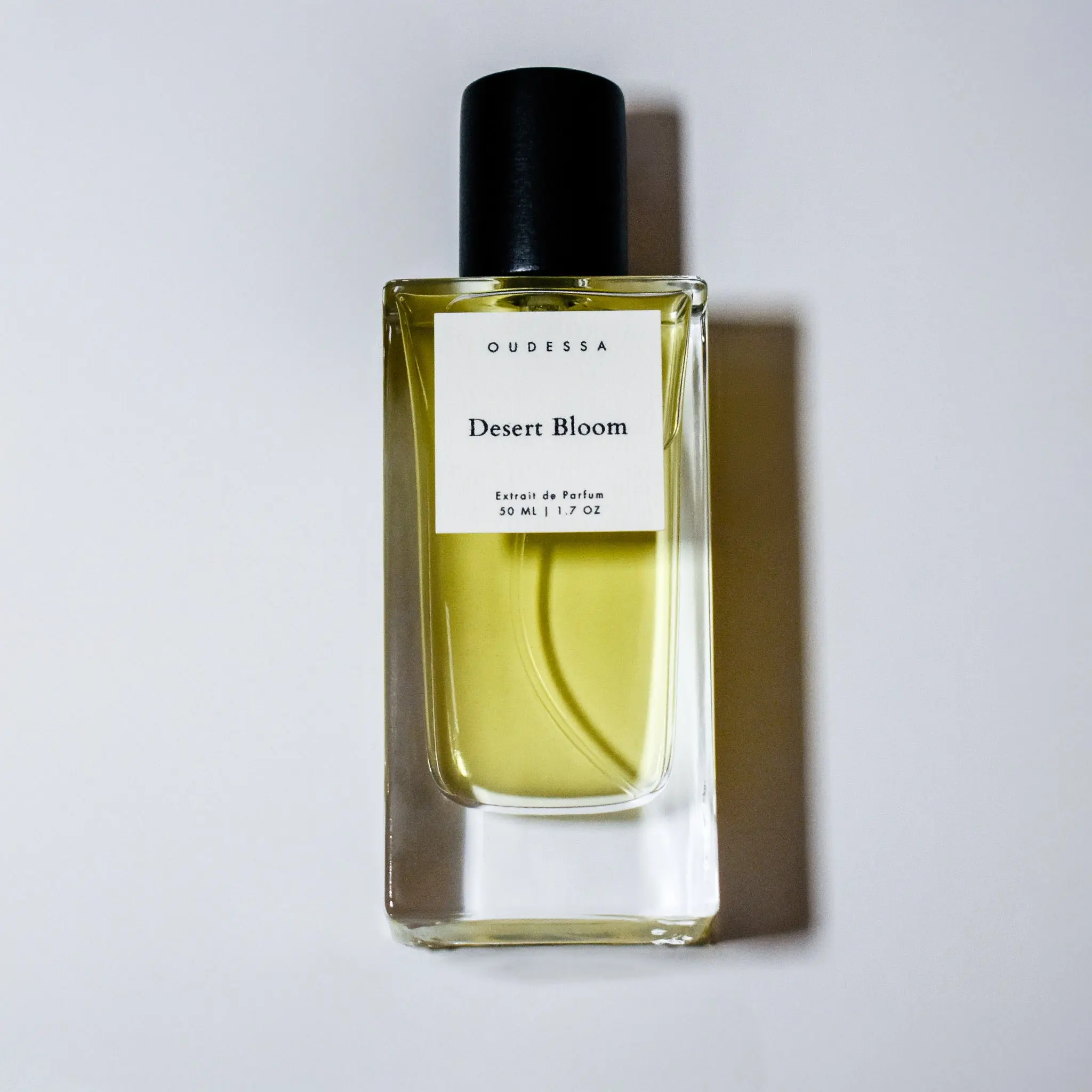 Desert Bloom - TikTok Shop