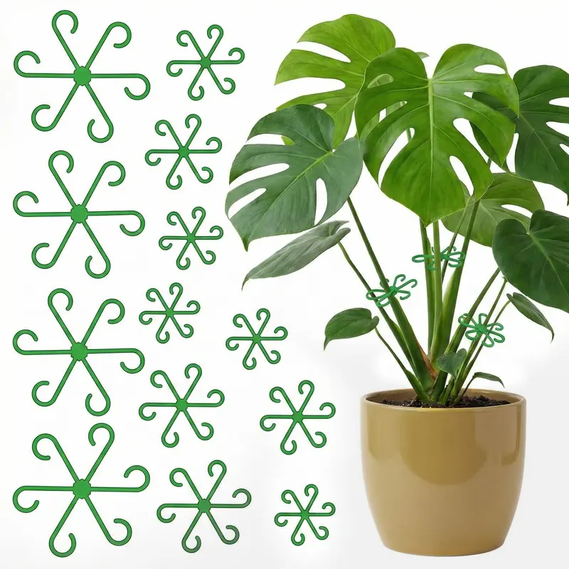 indoor plants free shipping Assorted Green Indoor Plant Garden – Free Shipping & Same Day Delivery –  OnlyFlowers main image 0