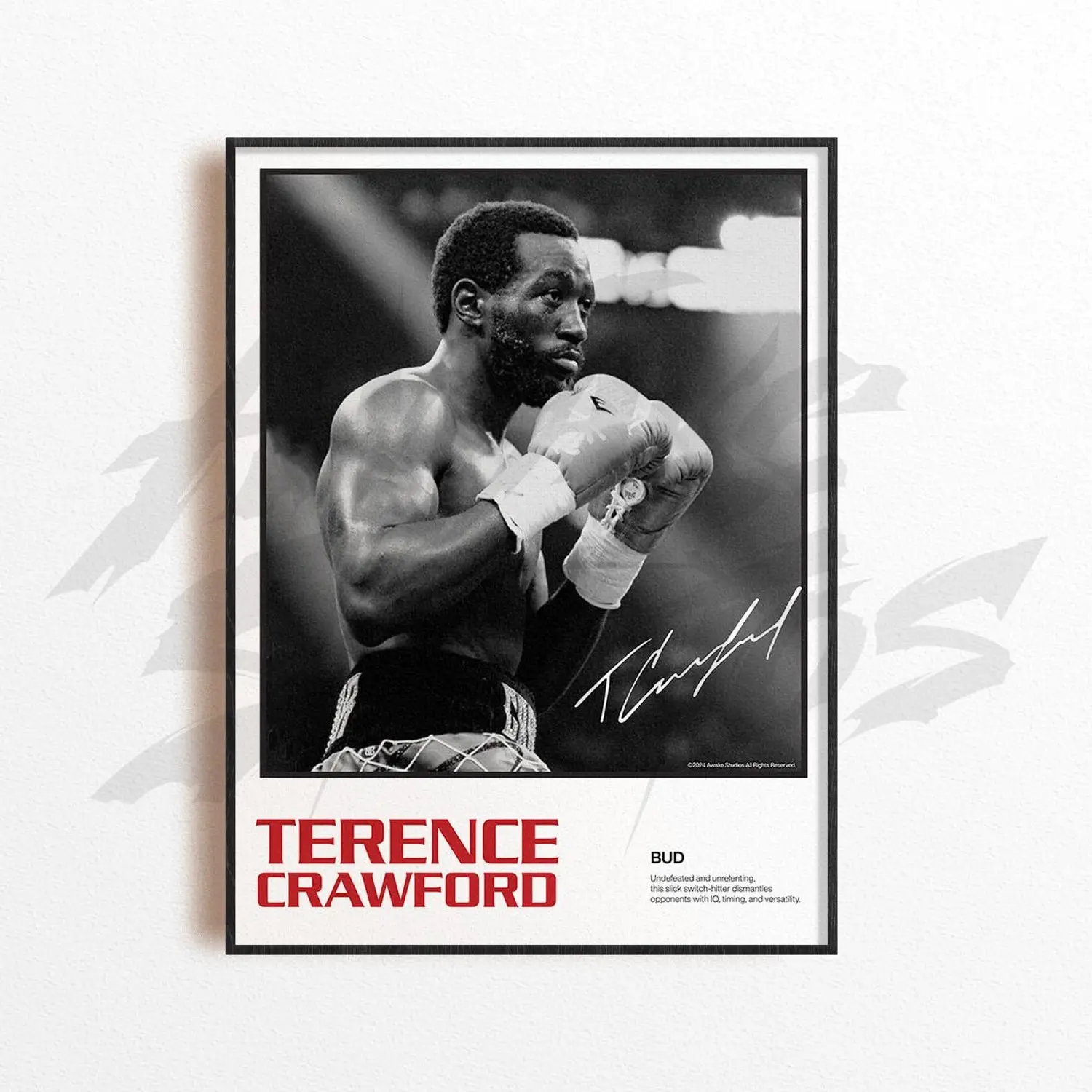 Terence Crawford Art Print, Boxing Art Print, Boxing Arts Wall Decor, Home Gym Decoration, Sports Gift, Boxing Fighter Poster