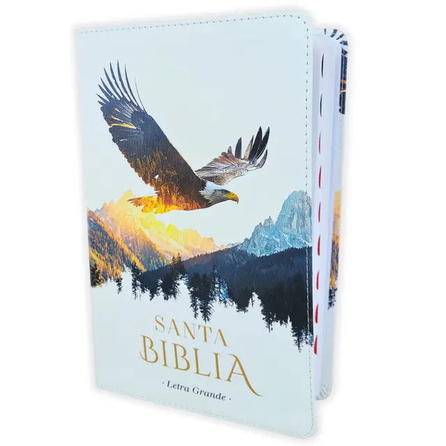 Santa Biblia Letra Grande 12 puntos RV1960 Imit Piel Blanco Águila con Índice Edición Ilustrada