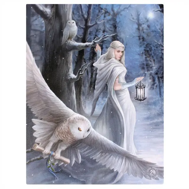 Midnight Messenger Canvas Print by Anne Stokes