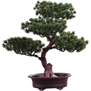 Artificial Pine Tree, 11Inch Faux Potted Plant Desk Display Fake Tree Pot Ornaments, Japanese Cedar Plant for Home, Office Decoration