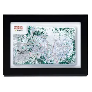 Mammoth Mountain Ski Resort 3D Raised Relief Map