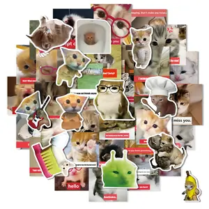 Cute Stickers 50Pcs – Cat meme Look at Stickers for Notebook, Bag, Cap or Table Best Idea Gift for Valentine's Day Friend Child Easter Birthday Gift