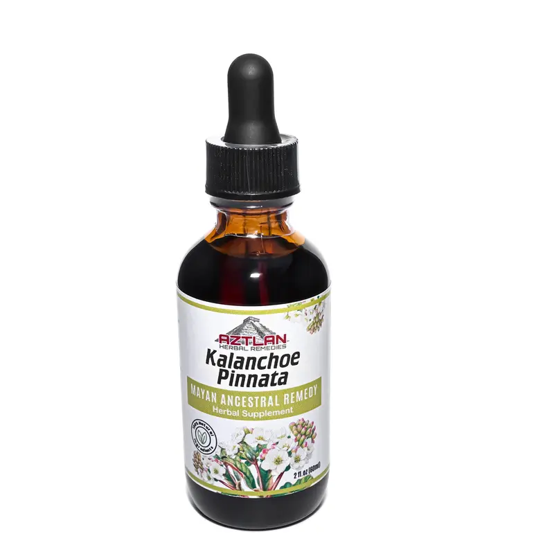 AZTLAN HERBAL REMEDIES Kalanchoe Tincture 2oz – Herbal Supplement for Immune Support with Cell Regeneration & Antioxidants for Healthcare & Fitness
