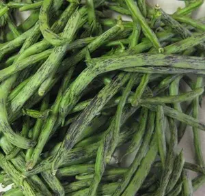 Rattlesnake Pole Bean - 30+ seeds