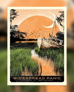 WideSpread Panic: The Lost Schooner Graphic Poster - Trippy Floral Space Art Print for Goose Fans & Collectors - Perfect for Concerts & Home Decor