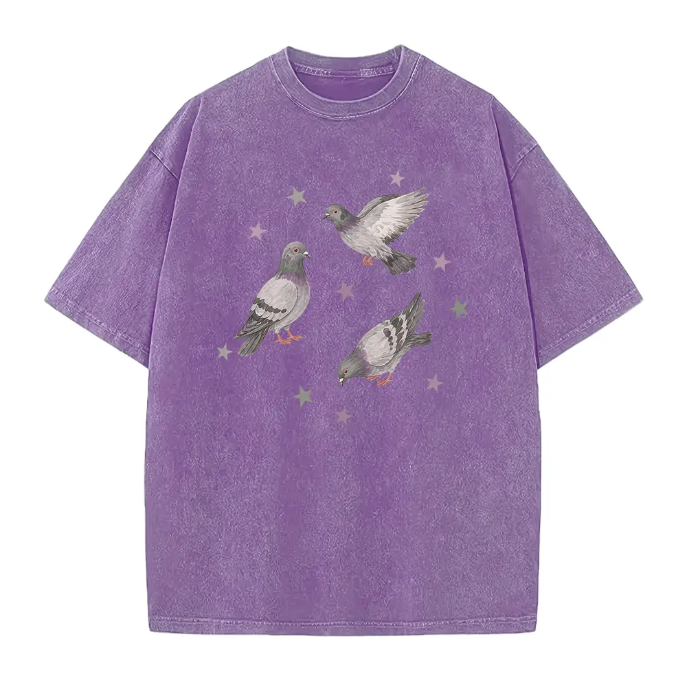 Vintage 90s Pigeon Shirt, Retro Star Graphic Tee, Cute Rock Dove Aesthetic Top,Street Bird Lover Gift, Artistic Y2K Urban