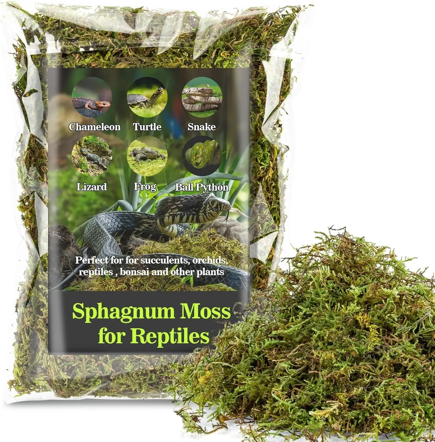 Sphagnum Moss for Reptiles - Green Terrarium Moss Substrate, 5oz | Habitat Bedding for Gecko, Snake, Turtle, Frog, Bearded Dragon, Jumping Spider, Chameleon, Enclosure & Tank Accessories Decor