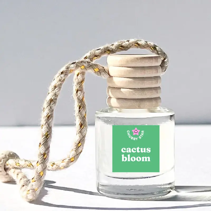 Cactus Bloom Scented Car Freshener Air Freshener For Car - A Tropical Scented Car Air Freshener With Notes of Cactus Petals, Sparkling Citrus & Warm Vanilla Coconut
