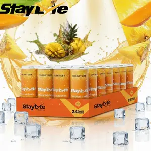 Hydration Drink StayLyte 24 IN 1 Tropical Zest Sparkling Electrolyte Drink Mango Pineapple Flavor 355ml Tin Cans 24 Pack Zero Sugar B Vitamins 3 in 1 Energy Recovery Beverage Natural Flavor & B Vitamins