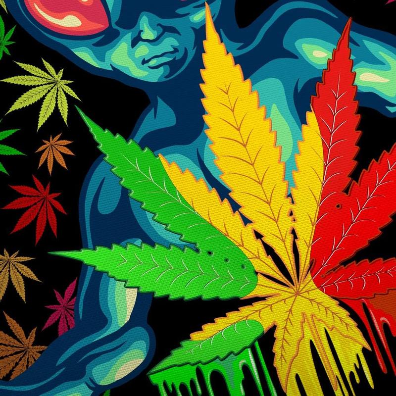 Cool Weed Tapestry for Men, Trippy Alien Stuff Marijuana Leaf Tapestry Wall Hanging for Bedroom, Psychedelic Tie Dye Stoner Tapestries Poster Beach Blanket College Dorm Home Decor (40X30)