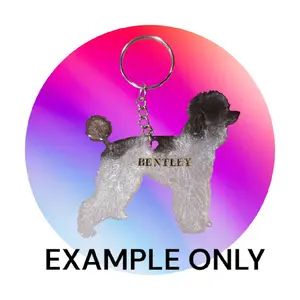 Customizable Resin Poodle keychain/3D Magnet - All Proceeds donated to surgery !