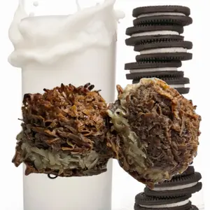 Doble cocada color con su cremita cookie/oreo