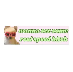 Wanna See Some Real Speed Bitch | Bumper Sticker AND Magnet | Funny Meme Sticker | 8.7'' X 2.7'' | Waterproof Premium Quality