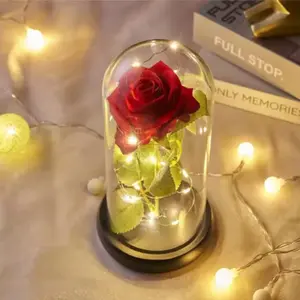 Eternal Rose LED Glass Bottle String Light Table Lamp, Romantic Valentine's Day Birthday Gift, Home Decor, Model Xinghao