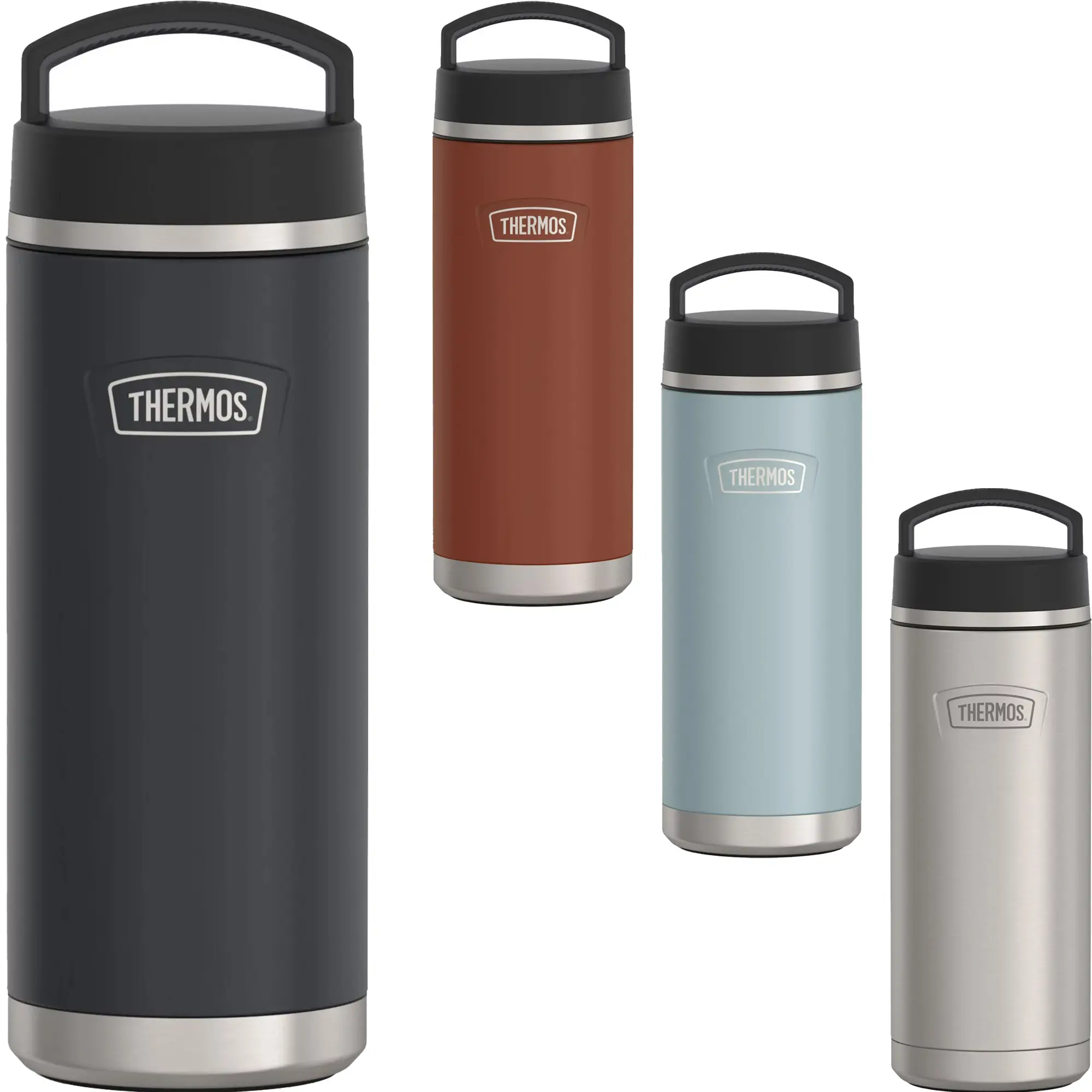 Thermos 32 oz. Icon Stainless Steel Dual Temperature Beverage Bottle