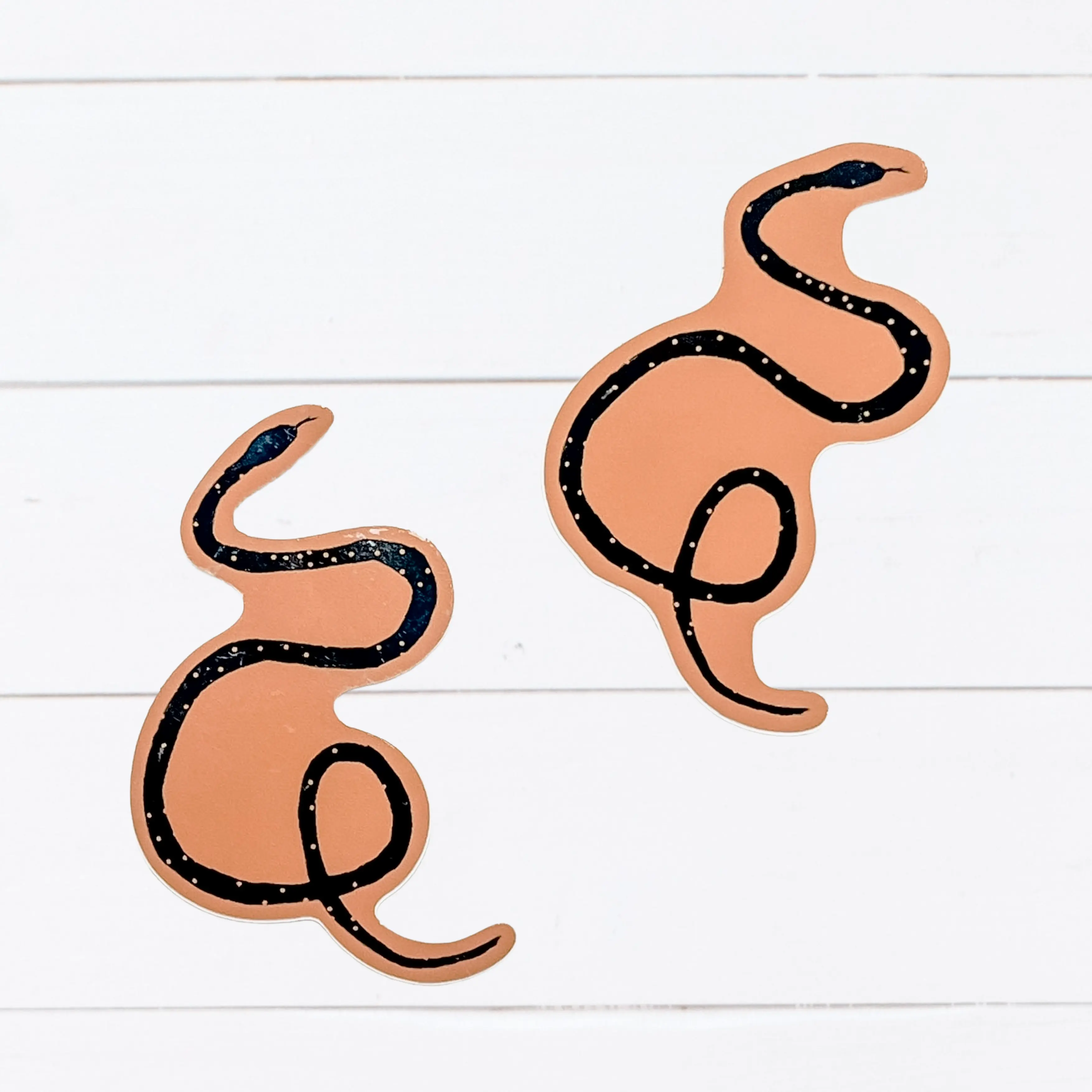 Snake Sticker