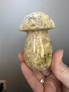 Yellow Opal Mushroom - Madagascar