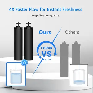 Filterlogic NSF/ANSI 42 & 372 Certified Water Filter Replacement for Berkey BB9-2 Black Purification Elements – Compatible with Berkey Gravity Water Filter System, Pack of 2