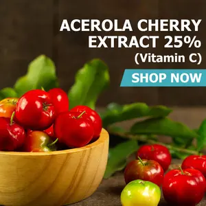 Acerola Cherry Extract (25% Vitamin C) Powder