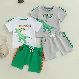 Afunbaby Toddler Baby Boy Birthday Clothes Cartoon Dinosaur Birthday Boy Print Short Sleeve Tops T shirt Shorts 2PCS Summer Outfit Set