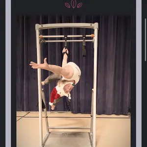 Aerial fitness body weight training straps