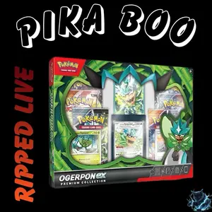 Ogerpon ex Premium Collection Box - Ripped Live
