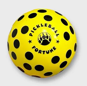Pickleball Fortune Ball