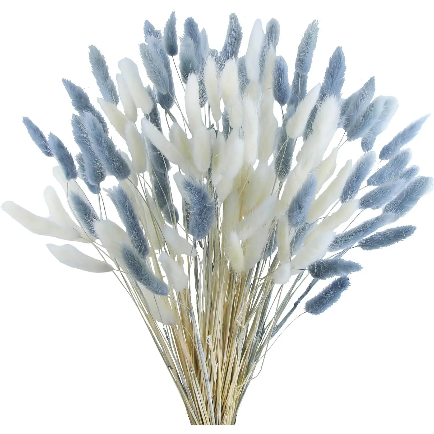 CISDUEO 120pcs 17" Dried Rabbit Tail Flowers (Lagurus Ovatus), White & Gray Natural Decorative Florals with Pampas Grass for Boho Home Wedding Farmhouse Decor, Vase Arrangements & DIY Crafts