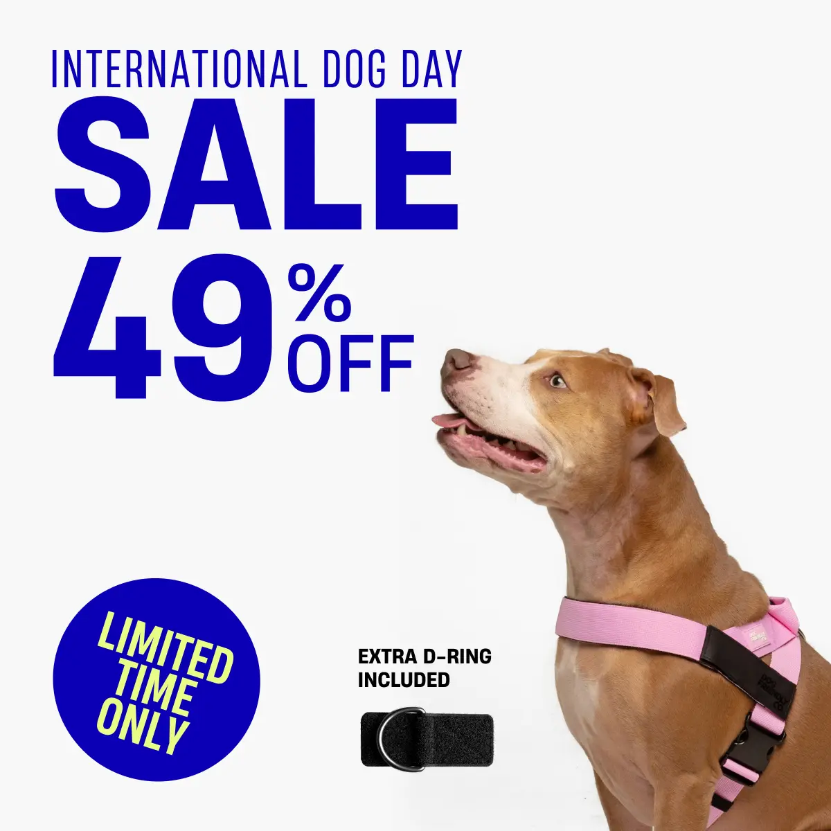 No Pull Dog Harness & D-Ring Bundle Pack, Harness Set with Leash Control - Dog Friendly CO