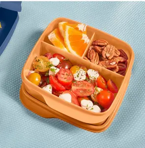Lunch-It Divided Containers Tableware