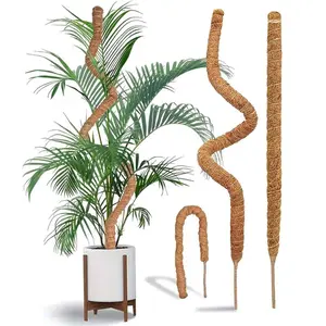 Adjustable Modern Coconut Coir Plant Stake Large Square Garden Climbing Pole for Indoor/Outdoor Flexible Classic Flower Pot Garden Obelisk Trellis