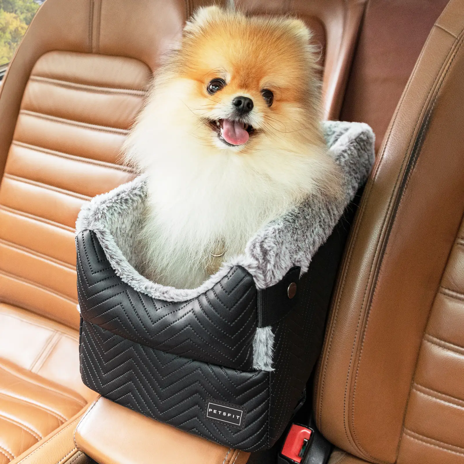 PETSFIT Center Console Dog Car Seat with Safe Protection Hooks, Pet Car Seat with Upgraded Safety Tethers, Washable Cushion, Console Dog Car Seats for
