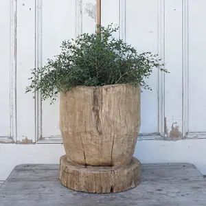 Rustic Tree Stump Planter #3