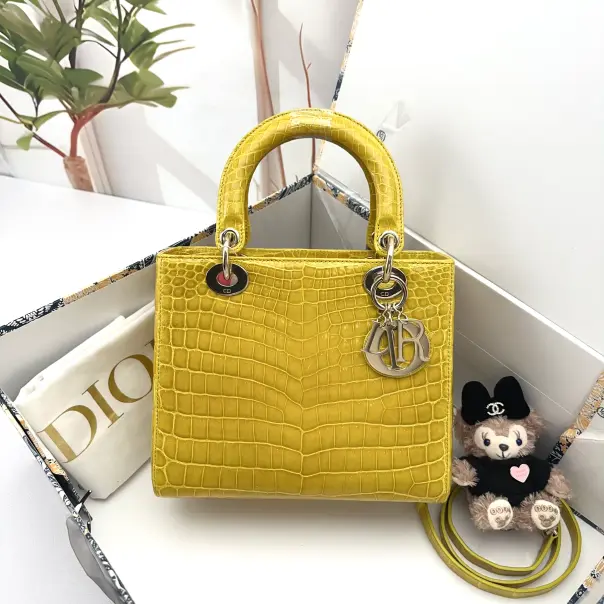 Pre-owned Dior Leather Shoulder Bags 9.45'' R10899 Shoulder Bag C539390107 0104 T1 Chloe