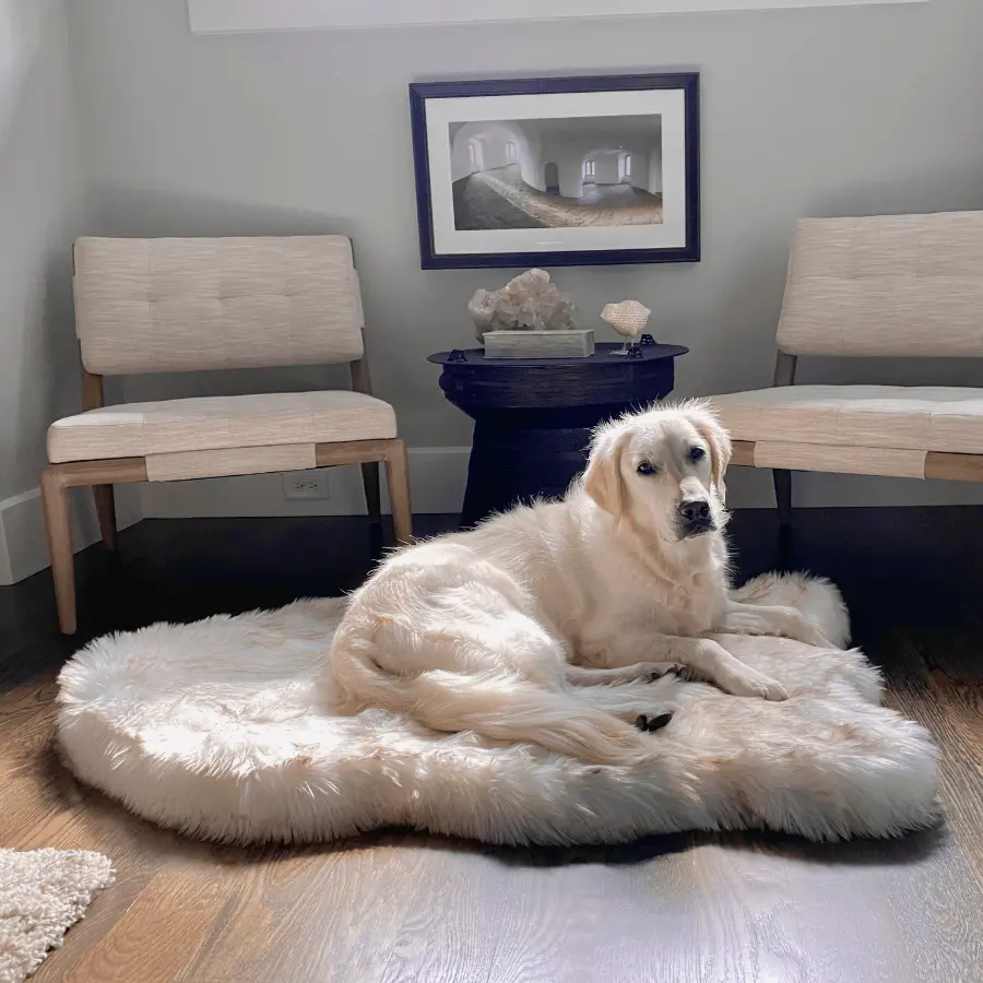 PupRug™ Faux Fur Orthopedic Dog Bed - Curve White with Brown Accents PupRug™ Faux Fur Orthopedic Dog Bed - Curve White with Brown Accents