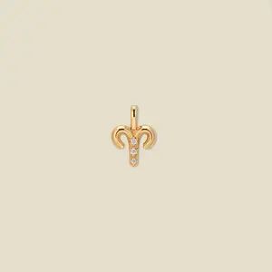 Aries Zodiac Charm | Final Sale