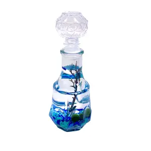 Valentine's Day Romantic Marimo Moss Balls Glass Bottle Aquarium With Lid Love Plants for Beginners for Couples Blue Live Mini Marimo Moss Ball  Glass Bottle Glass Jar Tin Canister mossplantpetaquariumdesk r Decor Gift Girlfriend