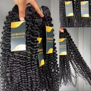 Wequeen Kinky Curly Human Hair Bundles Brazilian Soft 100% Human Hair Budget Friendly 10A Grade Viral Hair Natural Black Color