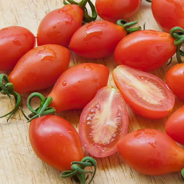 Red Grape Tomato Plants | Two Live Garden Plants | Non-GMO, Determinate, Grape-Type