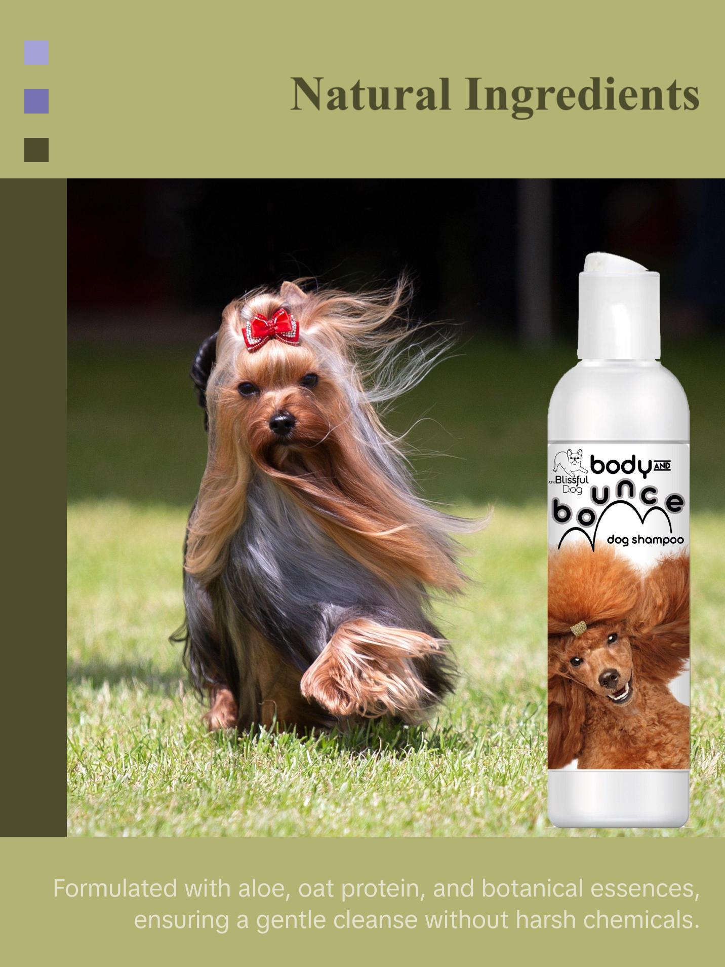 Body & Bounce Dog Shampoo Body & Bounce Dog Shampoo