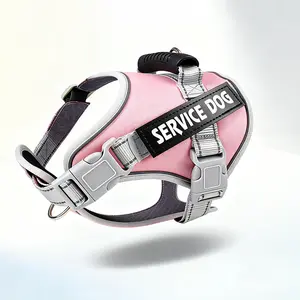 No Pull Dog Harness and Leash Combo, Reflective Adjustable Safety Harness – Soft Padded, Easy On & Off – Dog Walking & Training, Small Medium Large Dogs﻿